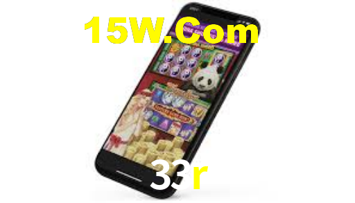 Premium Interface 33r